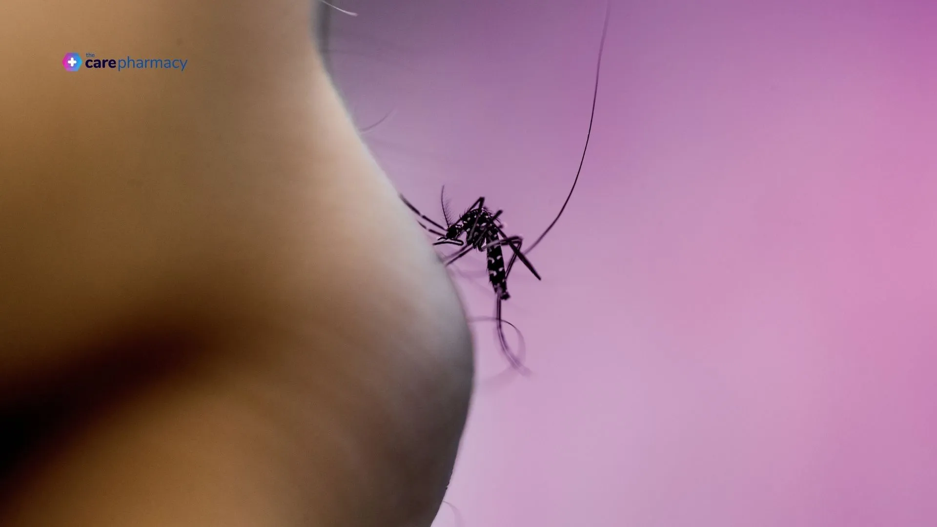 Insect biting skin